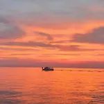 Nautilus, Nearby Svetilnik *