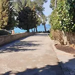 Nautilus, Nearby Svetilnik *