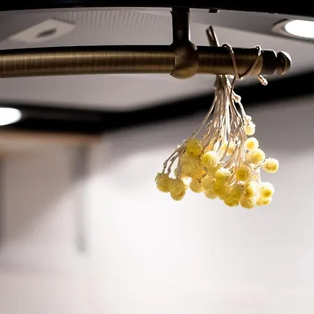 Apartman Nautilus, Nearby Svetilnik