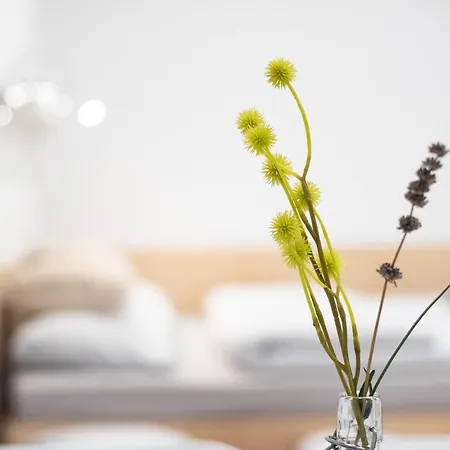 Apartman Nautilus, Nearby Svetilnik *