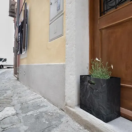 Nautilus, Nearby Svetilnik * Izola