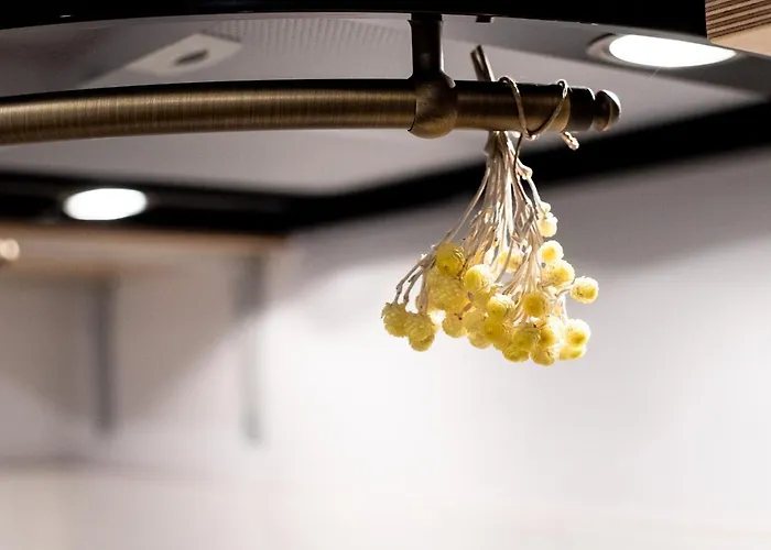 Appartement Nautilus, Nearby Svetilnik