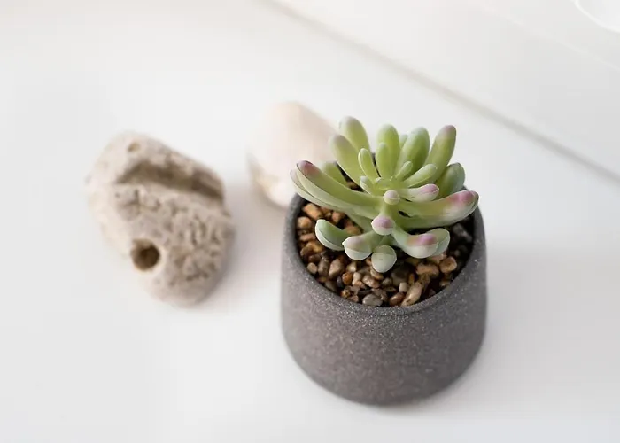 Nautilus, Nearby Svetilnik Appartamento Izola