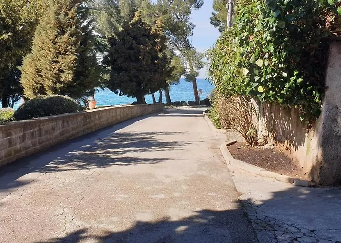 Nautilus, Nearby Svetilnik *