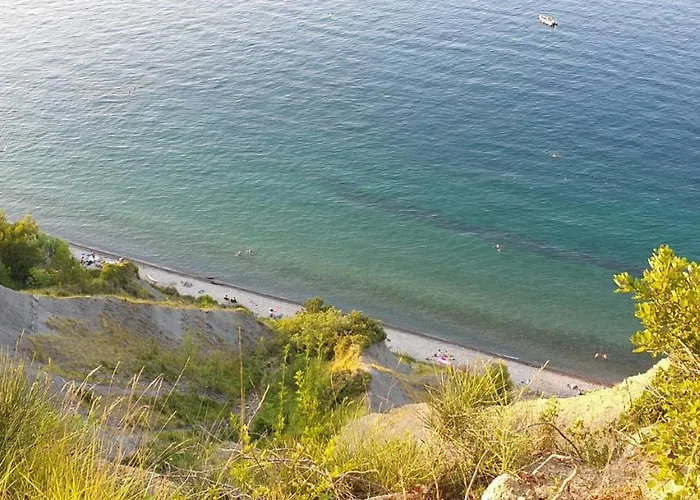 Nautilus, Nearby Svetilnik *